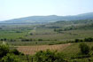 Malokarpatská vinohradnícka oblasť